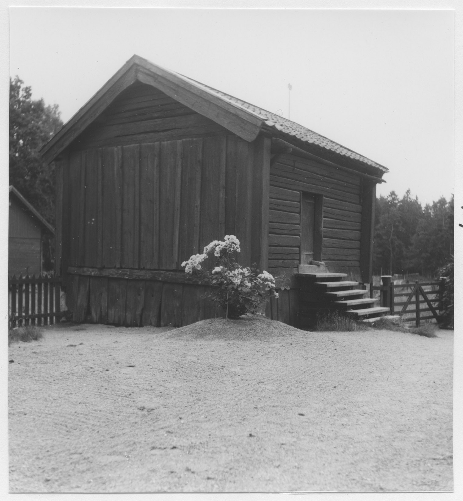 Mårten Sjöbeck, Nackhäll