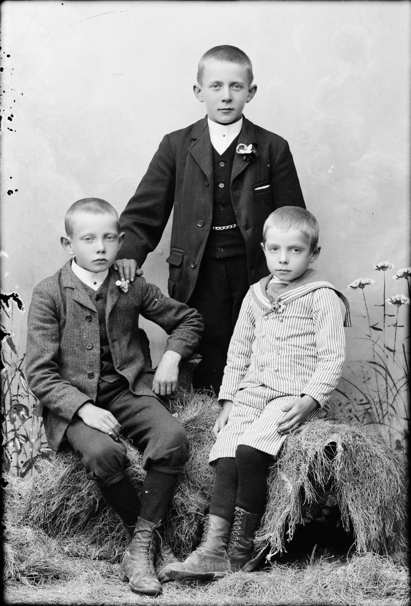 Skötsner-Edhlund, Ateljéporträtt - tre pojkar, Östhammar, Uppland