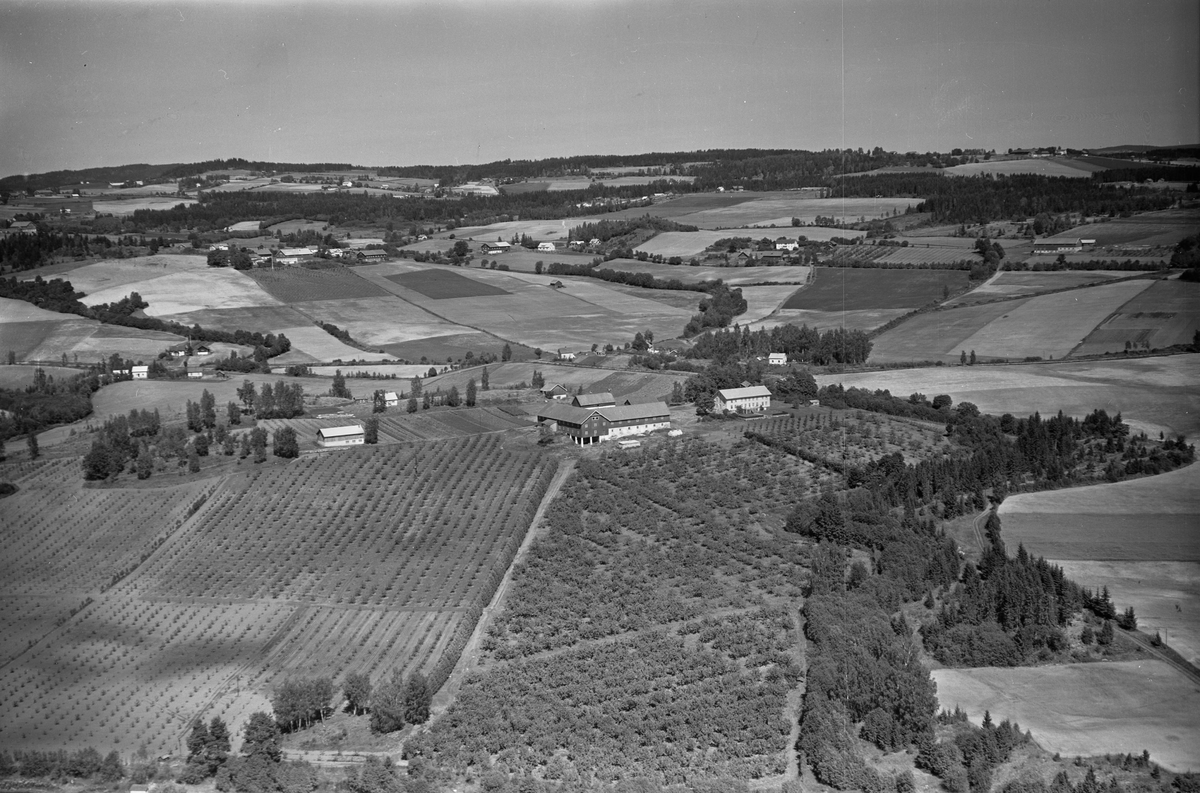 Anno Domkirkeodden, Flyfoto, gardsbruk, hage, frukttrær, Fossum, Nes, Hedmark.