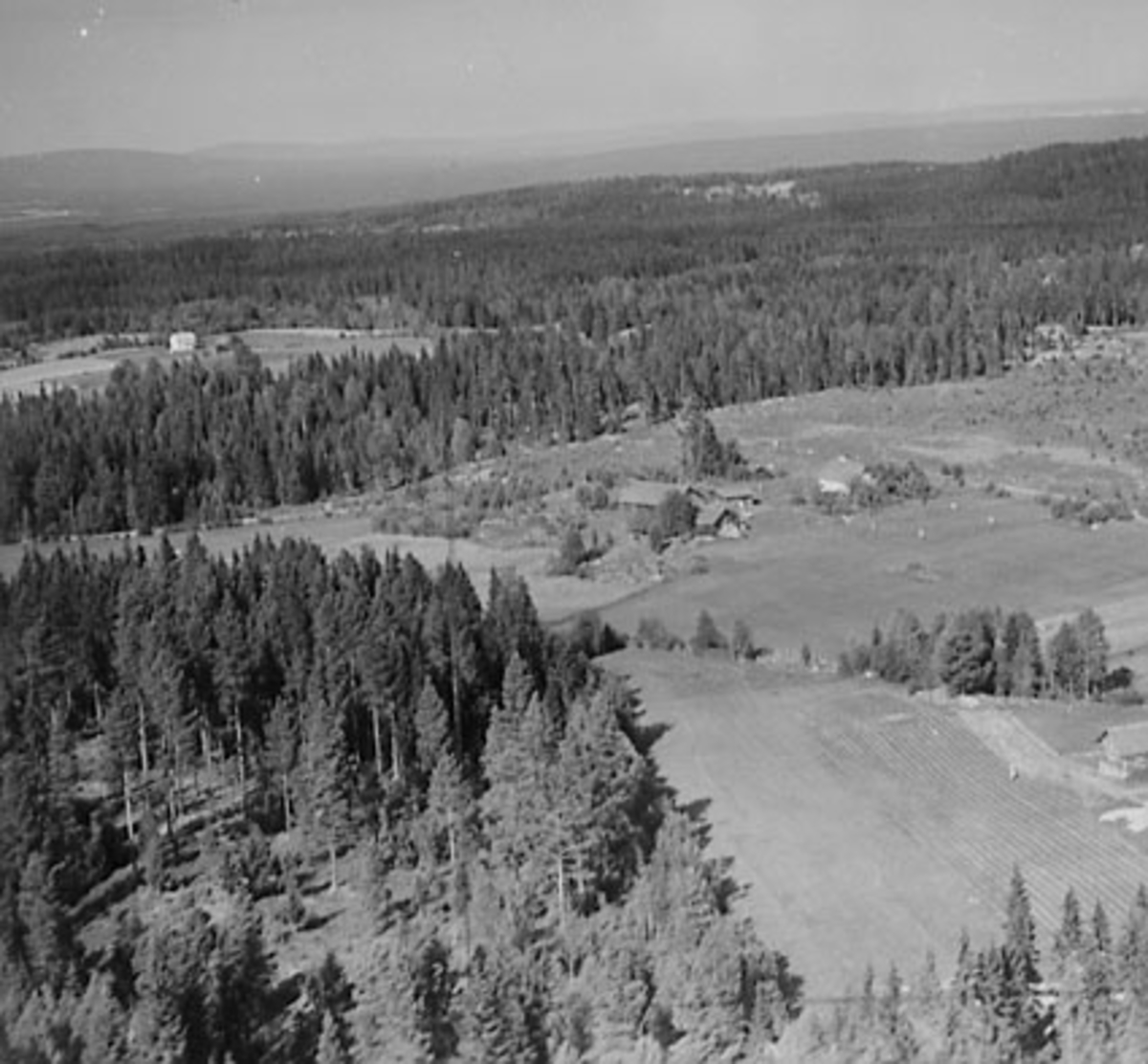 Widerøes Flyveselskap A/S, FLYFOTO ØSTBY, ÅSVANG