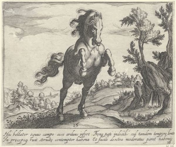 Panderen, Egbert van, (1581-1637?), (printmaker), Horse breeds: Landscape with a prancing horse