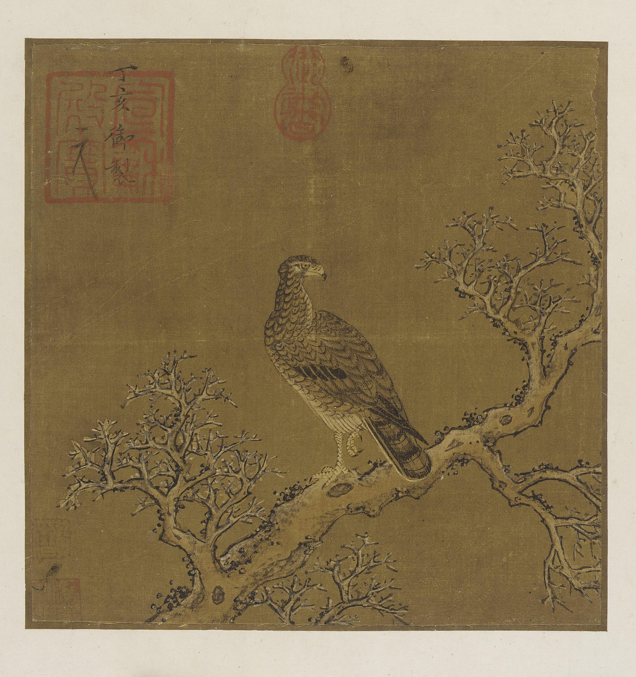 Formerly attributed to Emperor Huizong, An eagle on a branch