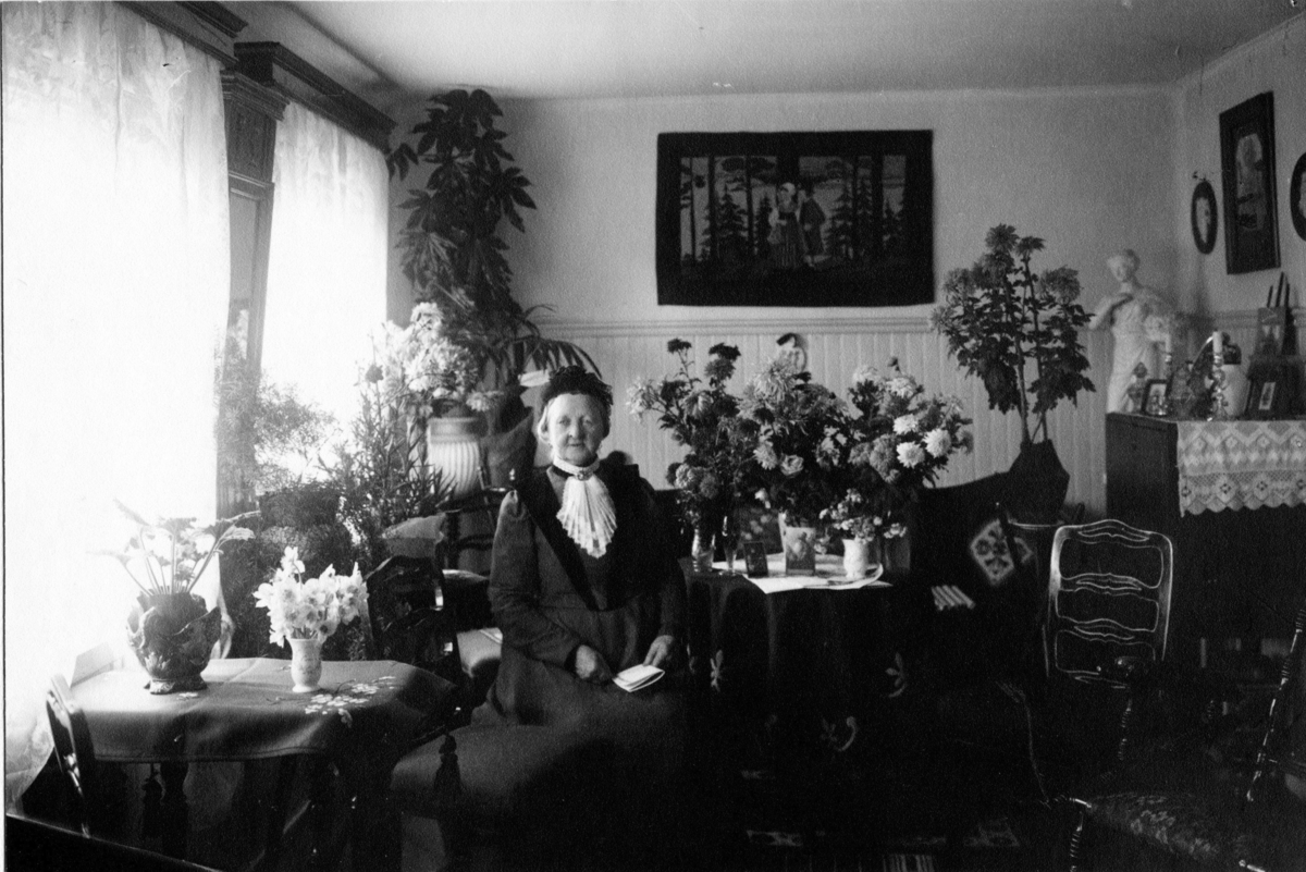 Calla Helena Sundbeck, Polkagrisbagaren Amalia Erikson på 90-årsdagen, 1914.