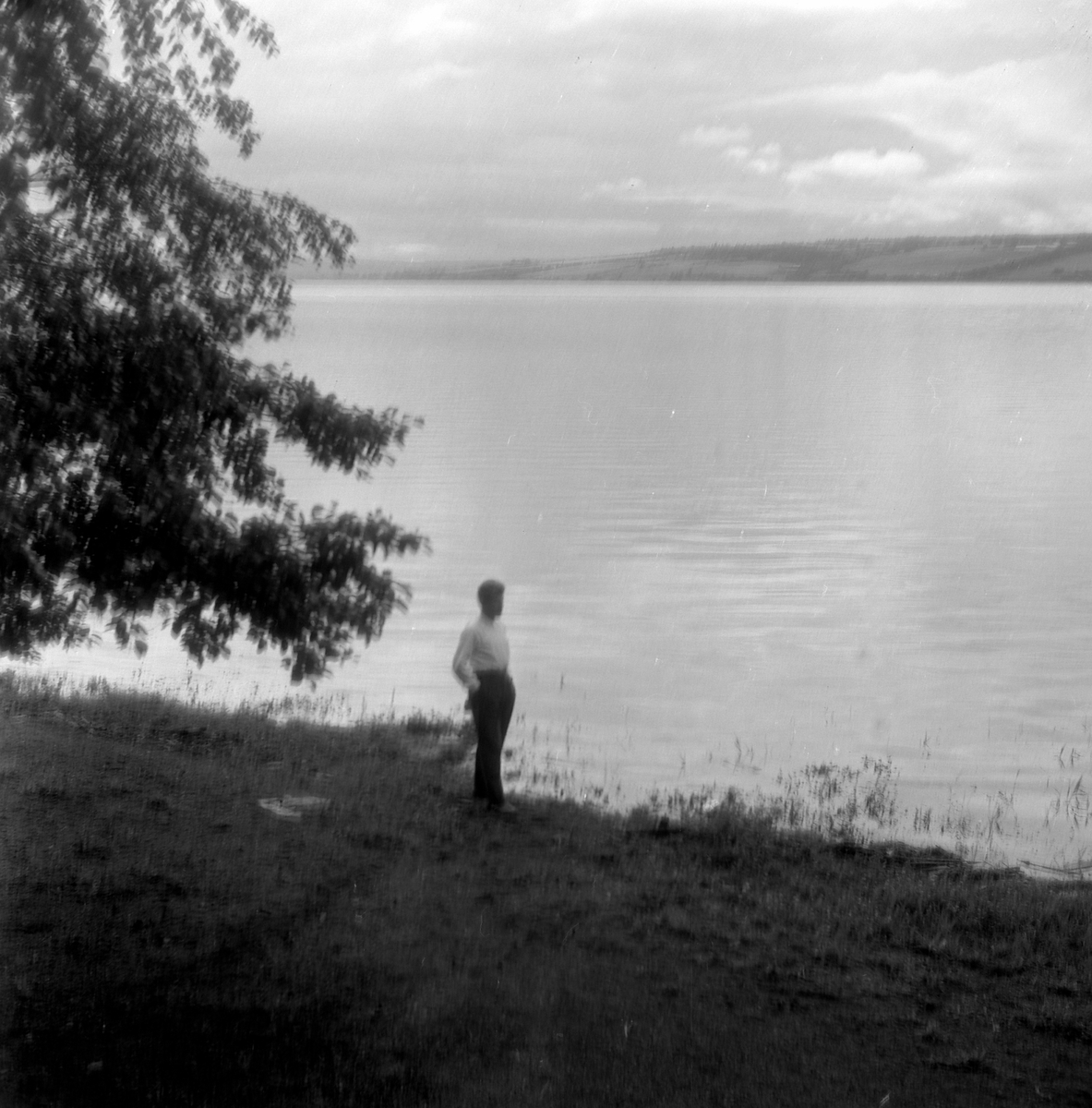 Adolf Skjegstad, ASK-03471