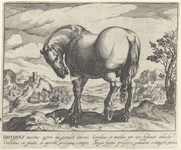 Panderen, Egbert van, (1581-1637?), (printmaker), Horse breeds: Landscape with a British horse