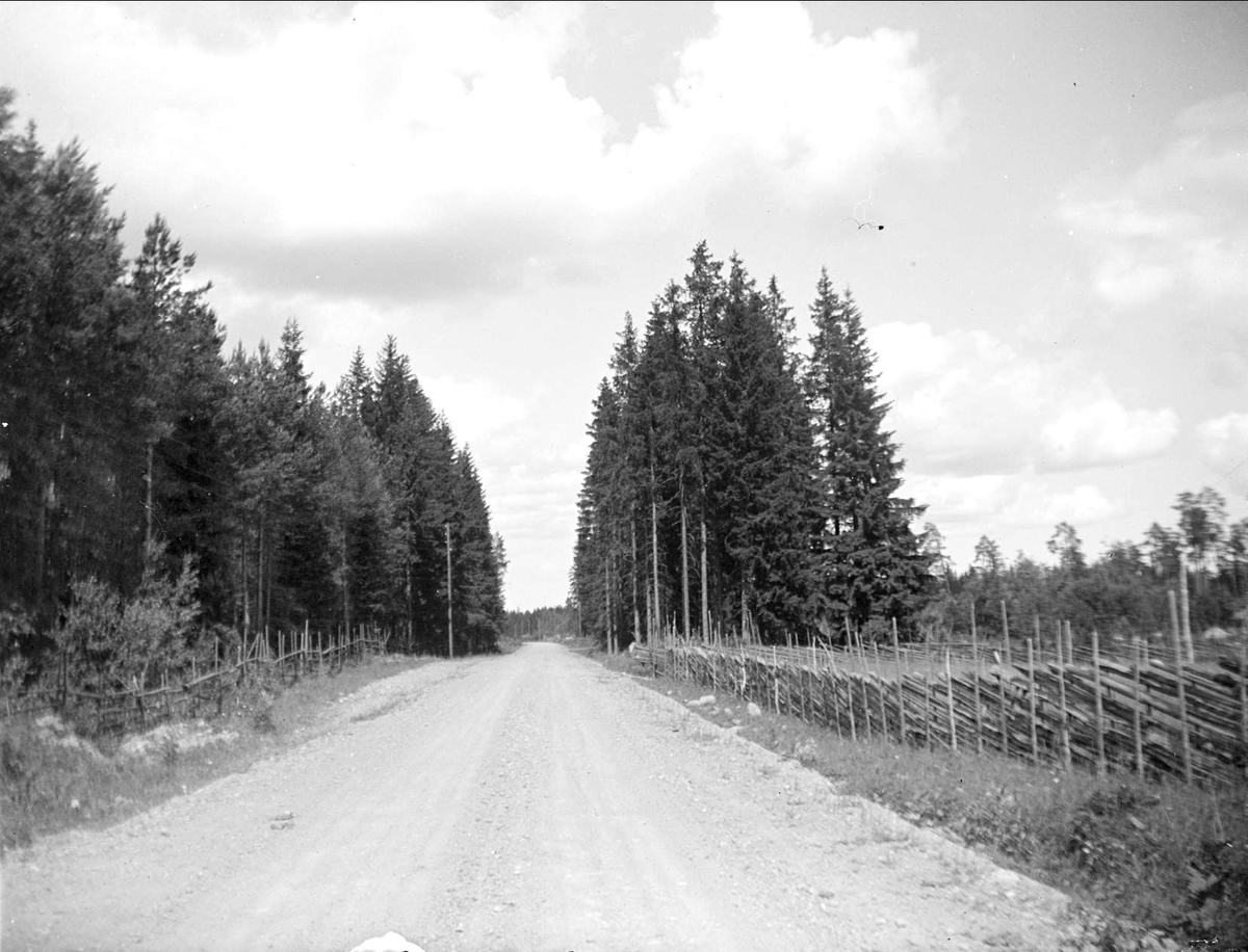 August Fredrik Schagerström, Road in Söderfors parish, Uppland June 1930