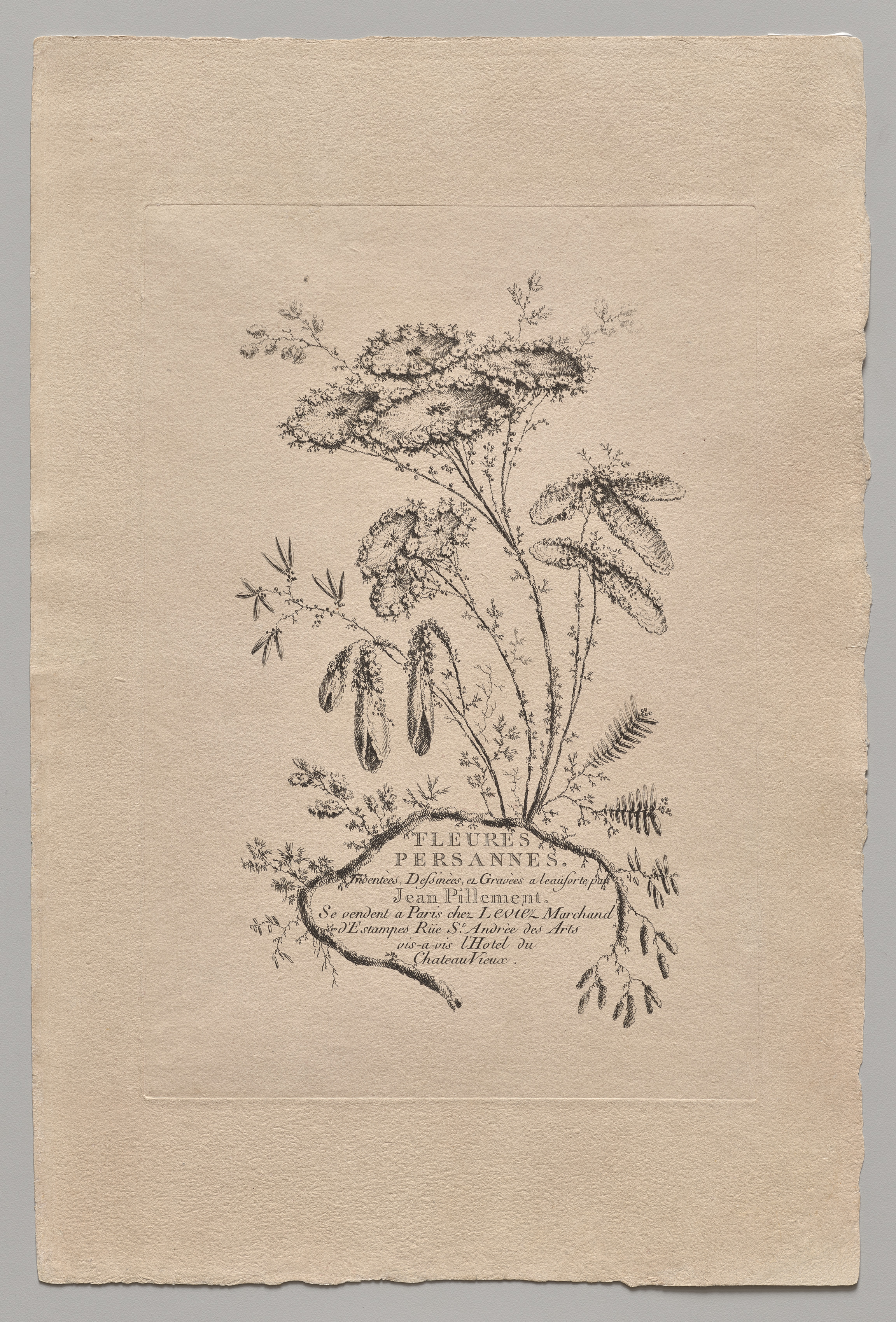 Jean Baptiste Pillement, Persian Flowers