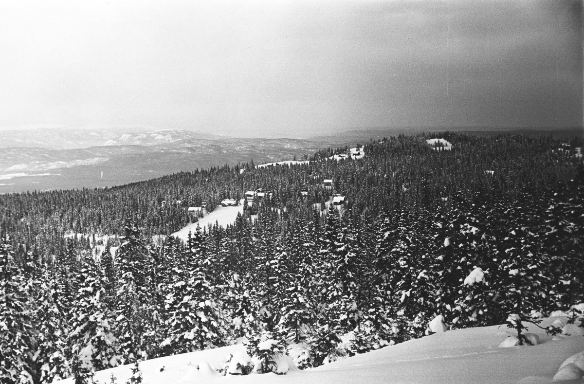 Anders Beer Wilse, Prot: Ringkollen Hotel