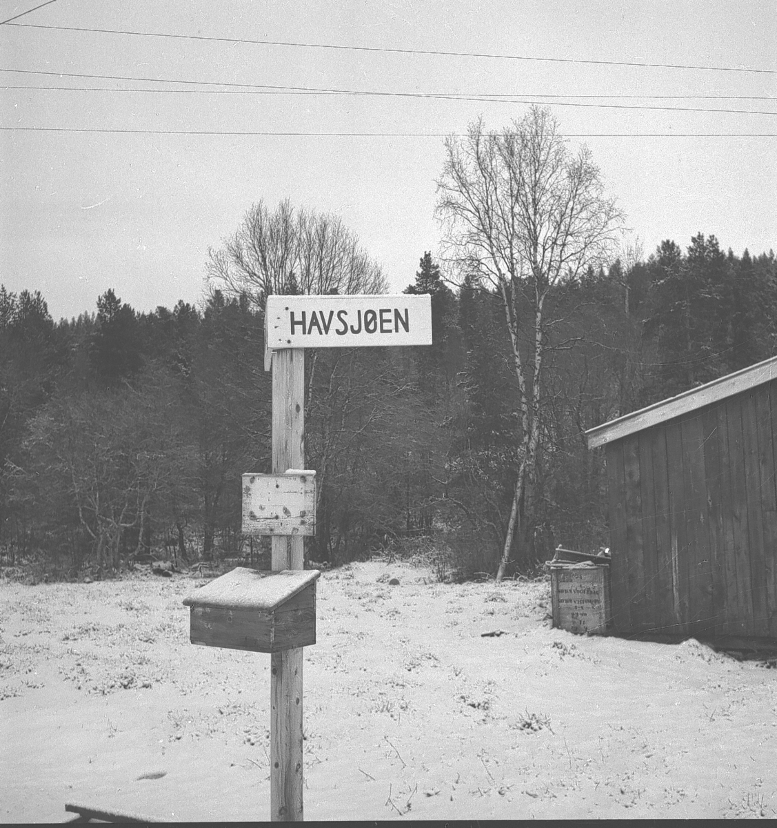 Per Magne Grue, Havsjøen sagbruk i Os/Røros.