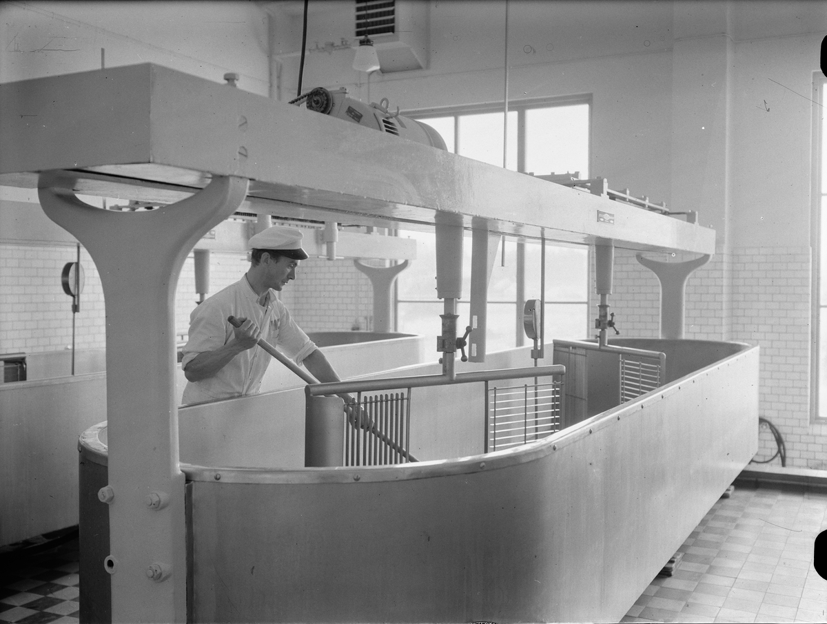 Paul Sandberg, The Milk Centre, St PersM, Uppsala, interior July 1946