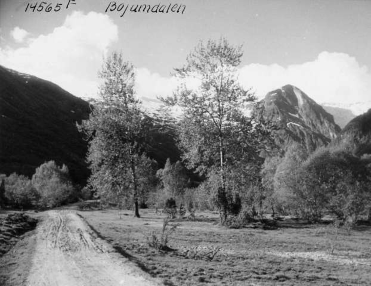 Anders Beer Wilse, -6563