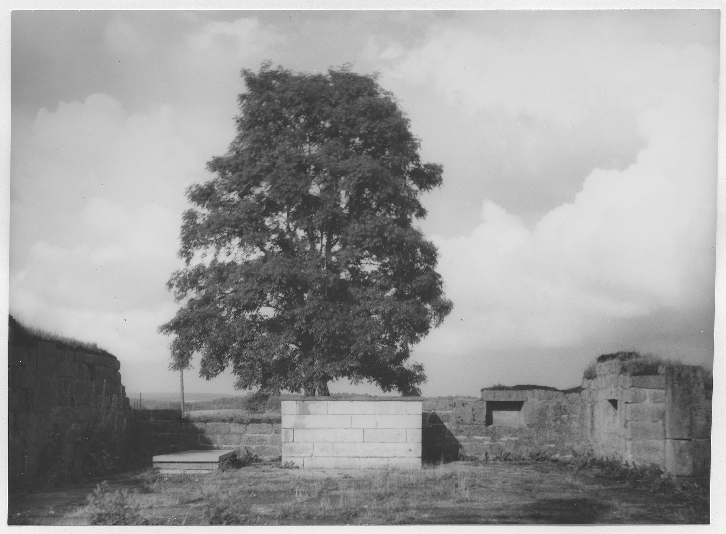 Mårten Sjöbeck, Gudhems klosterruin