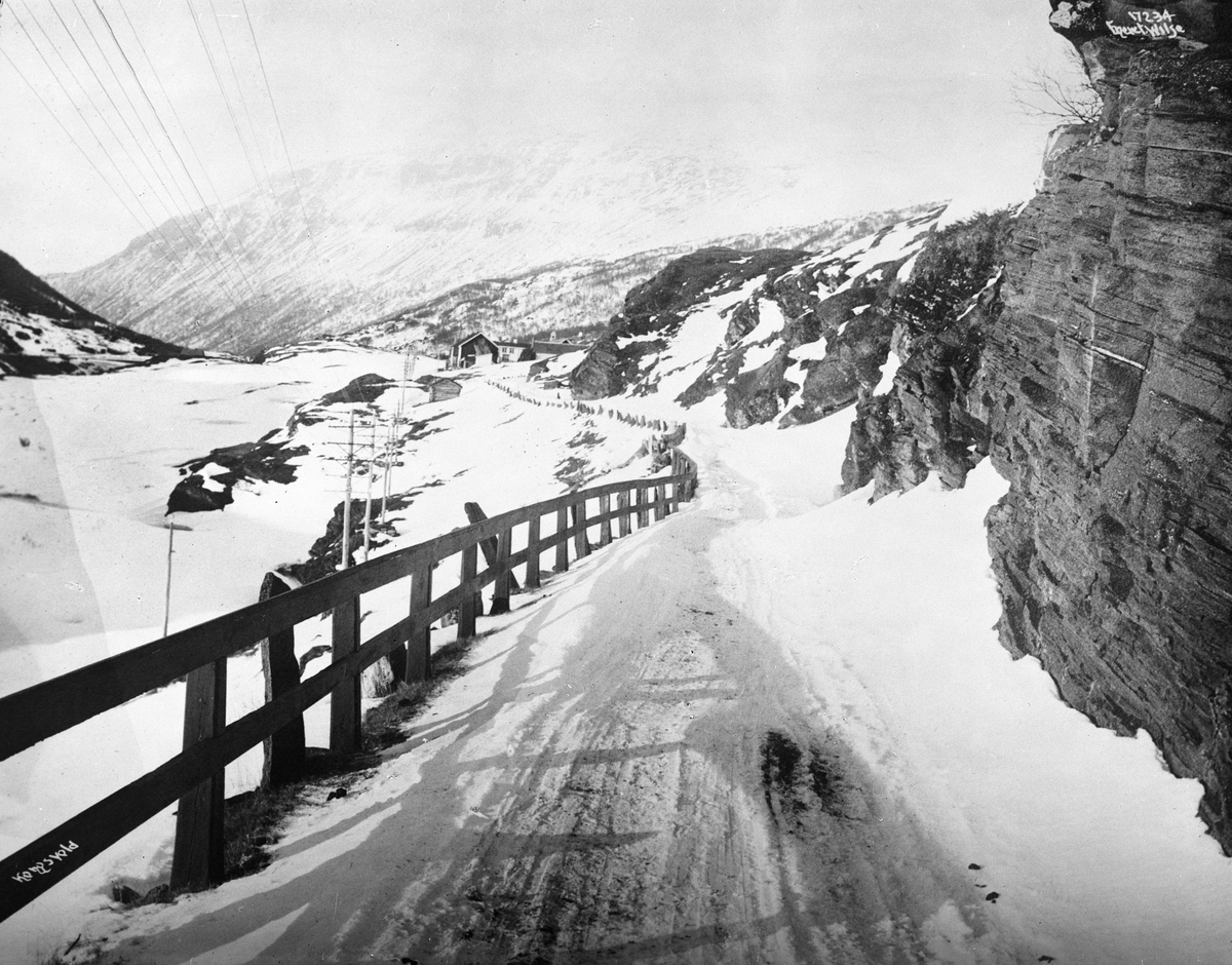 Anders Beer Wilse, Prot: Kongsvold Dovrebanen Konv: Ved Kongsvold Hanna Olafsen