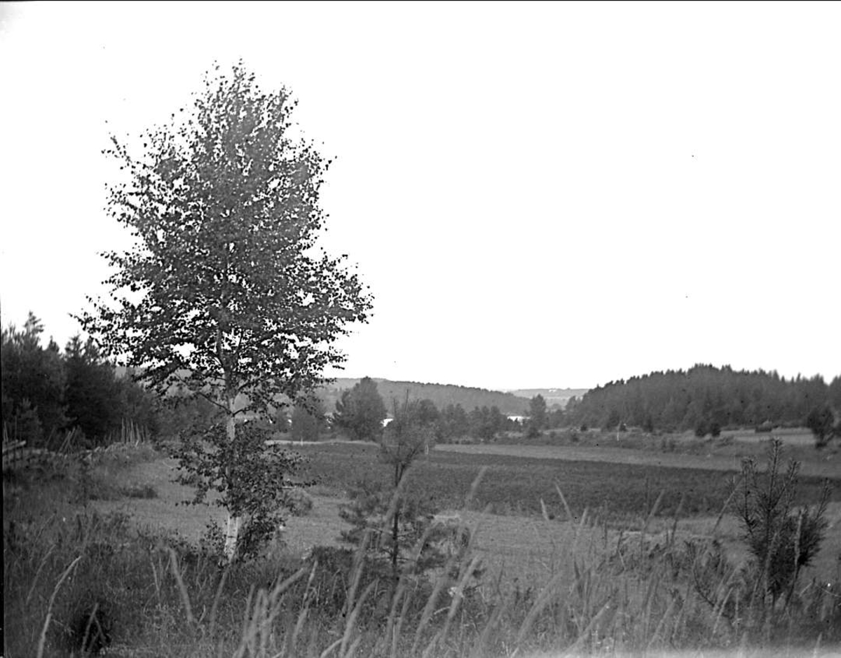 August Fredrik Schagerström, Landskapsvy nära Sigtuna, Uppland augusti 1914