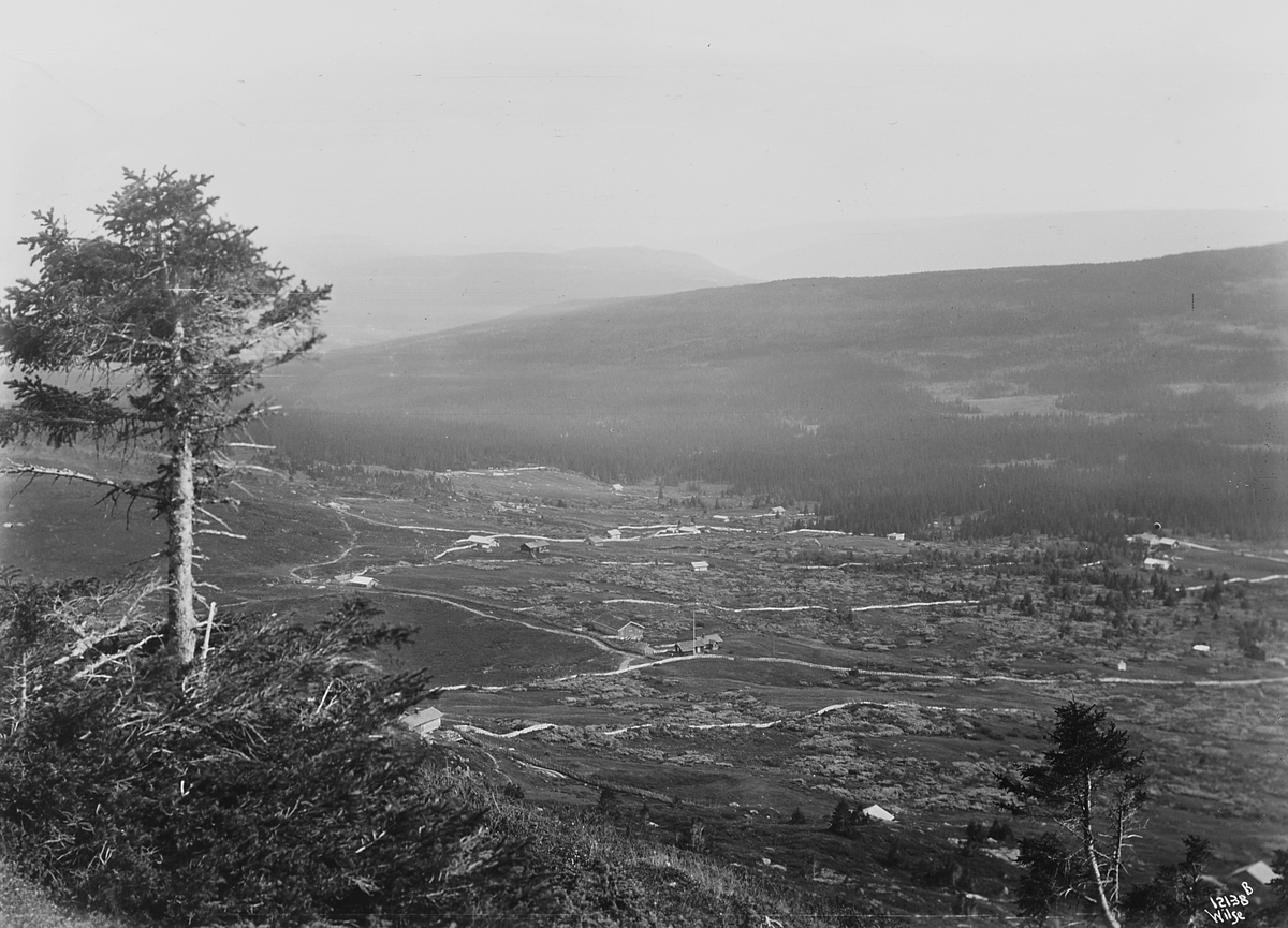 Anders Beer Wilse, Konv: Wulfsberg/sæteren oversigt