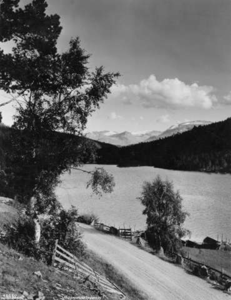 Anders Beer Wilse, -6753