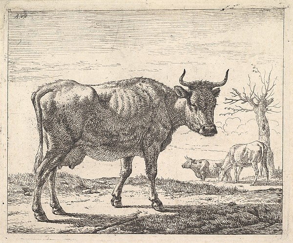 Adriaen van de Velde, Three Cows