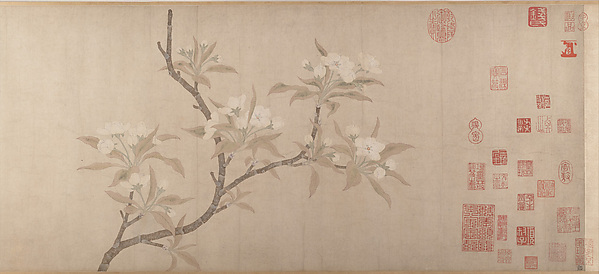 Unidentified, Pear Blossoms