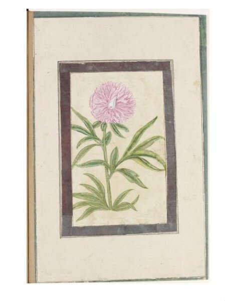Unknown, Painting
