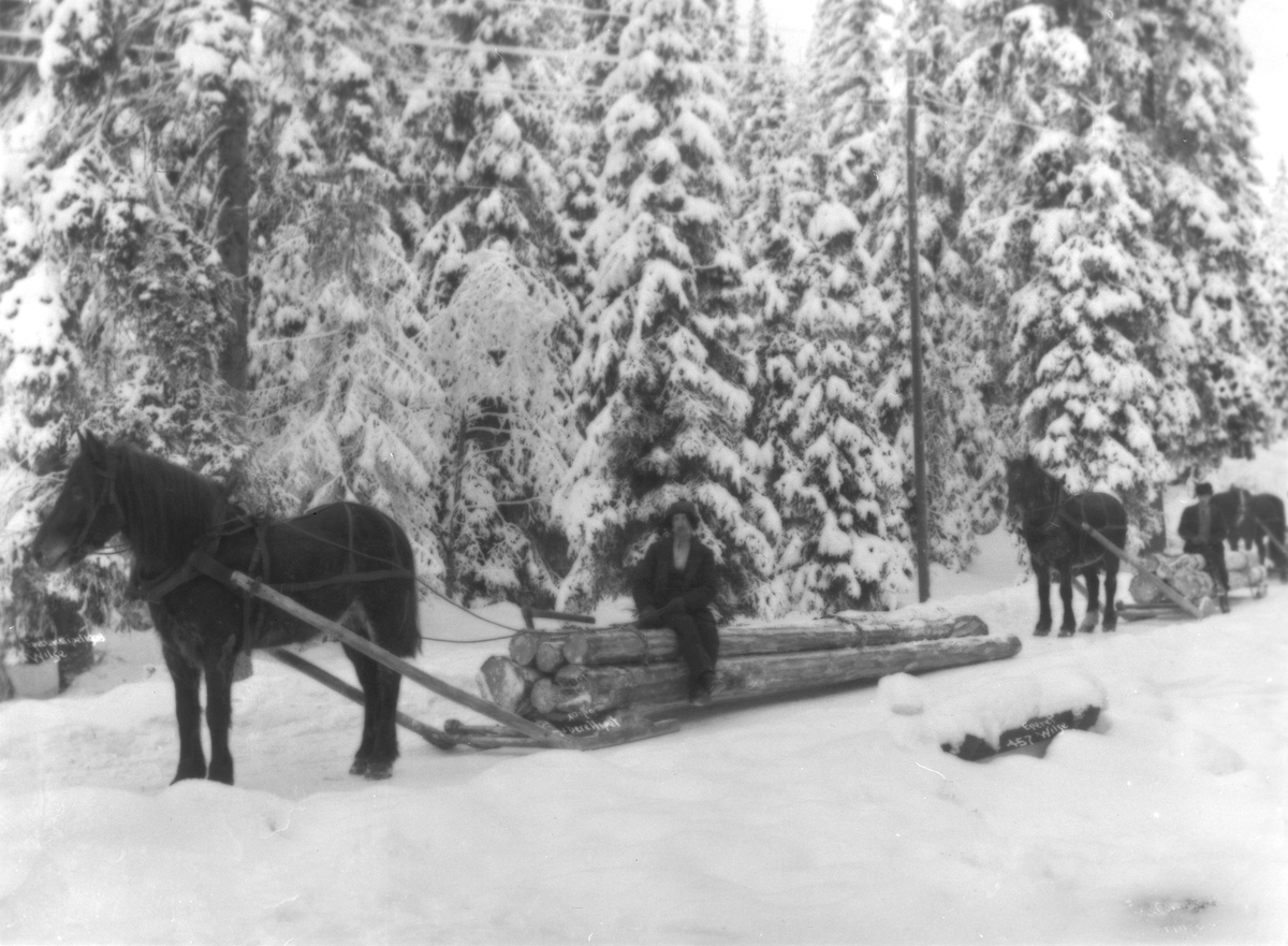 Anders Beer Wilse, Prot: Tømmerkjøring 27.Jan.1902