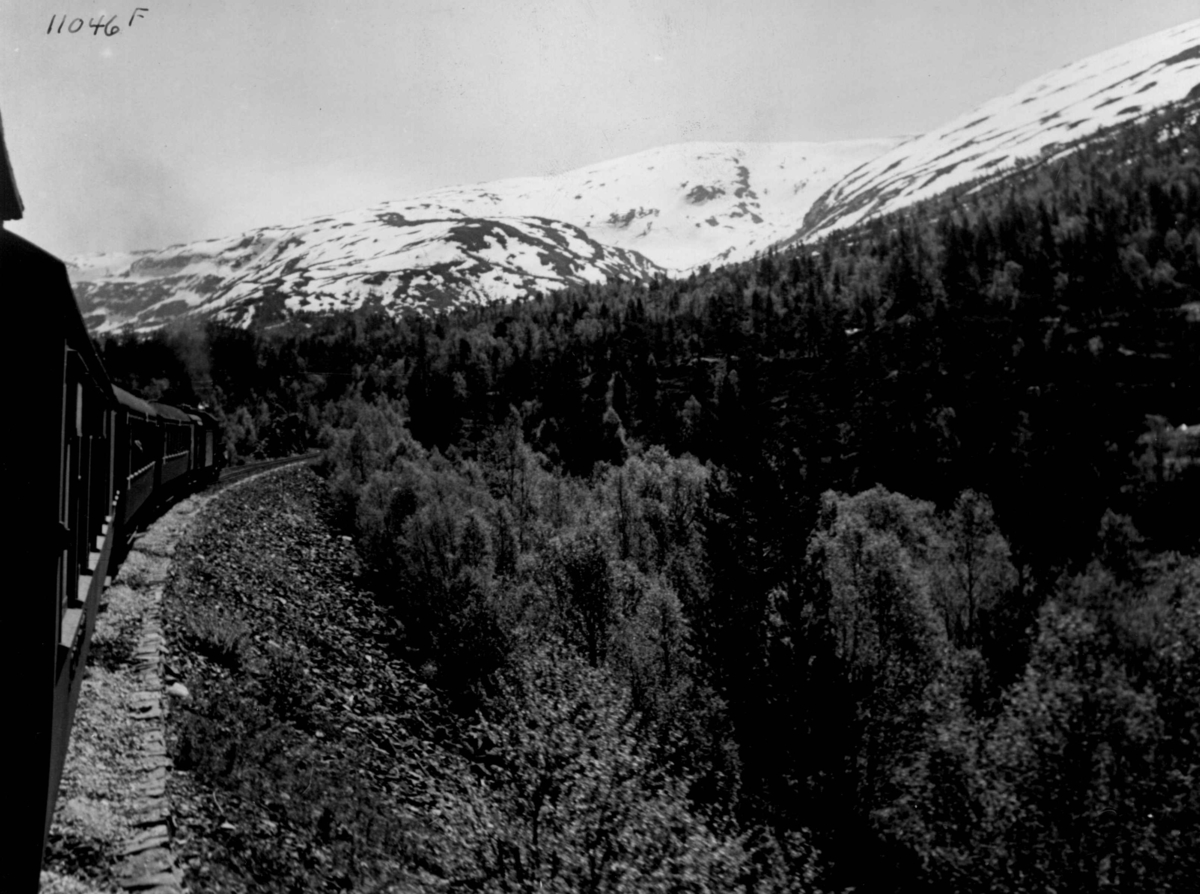 Anders Beer Wilse, Samferdsel, tog, Raundalen, Voss.