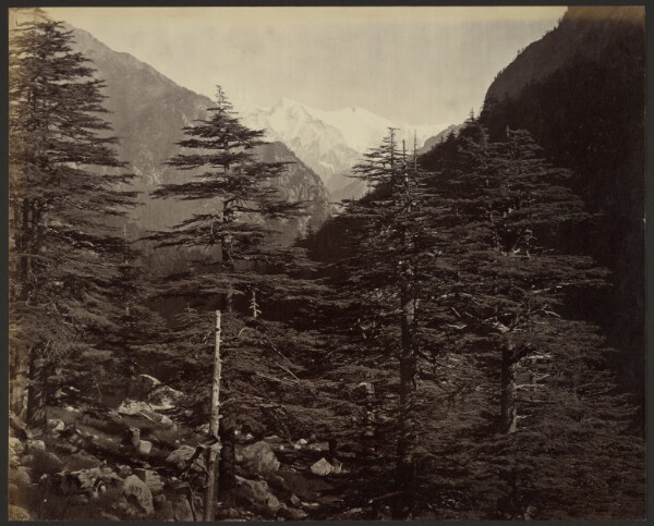 Samuel Bourne, Snowy Peaks near Gangootri, from Bhairamghati