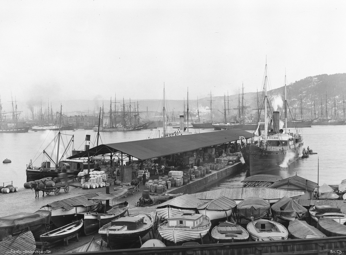 Anders Beer Wilse, Prot: Festningsbryggen Jan 1902