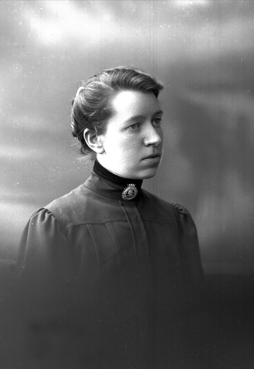 Gustav Borgen, NFB.08672