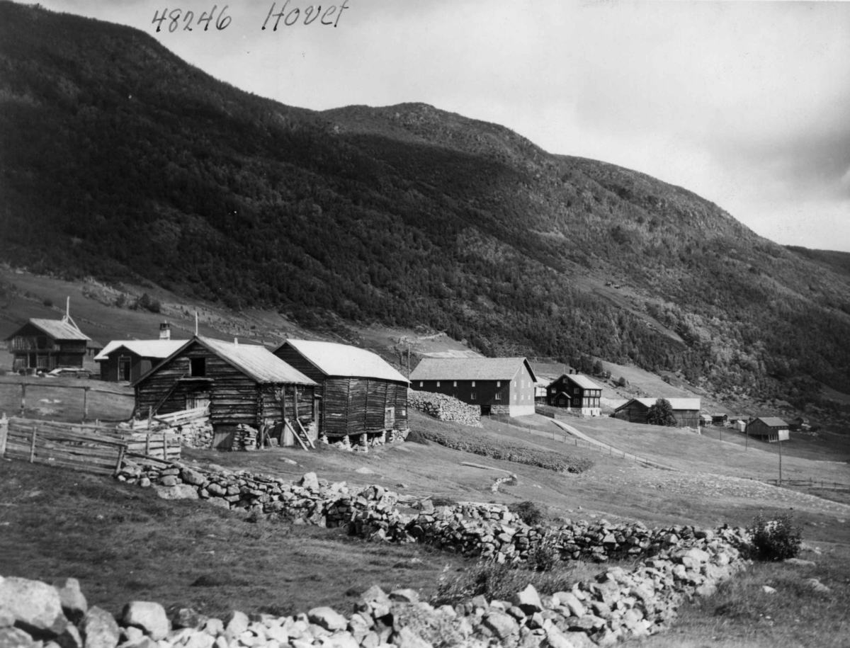 Anders Beer Wilse, Hovet, Bebyggelse