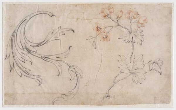 unknown, Drawing