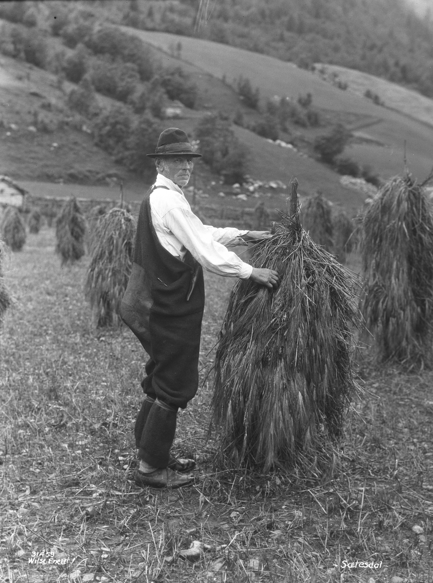 Anders Beer Wilse, Prot: Sætesdal, Setesdøl