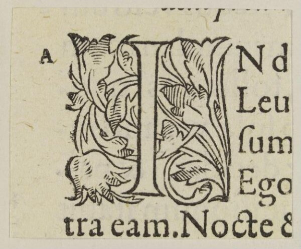 Unknown, Print
