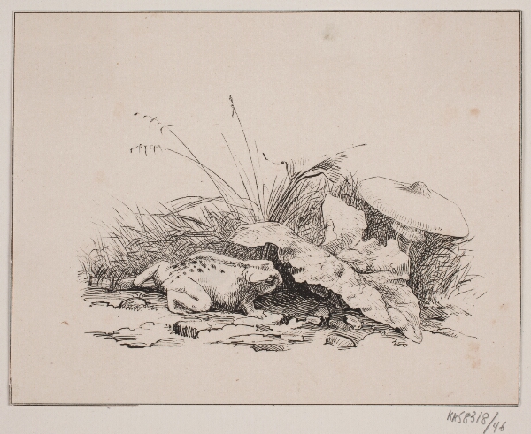 Adolph Kittendorff, Tudsen