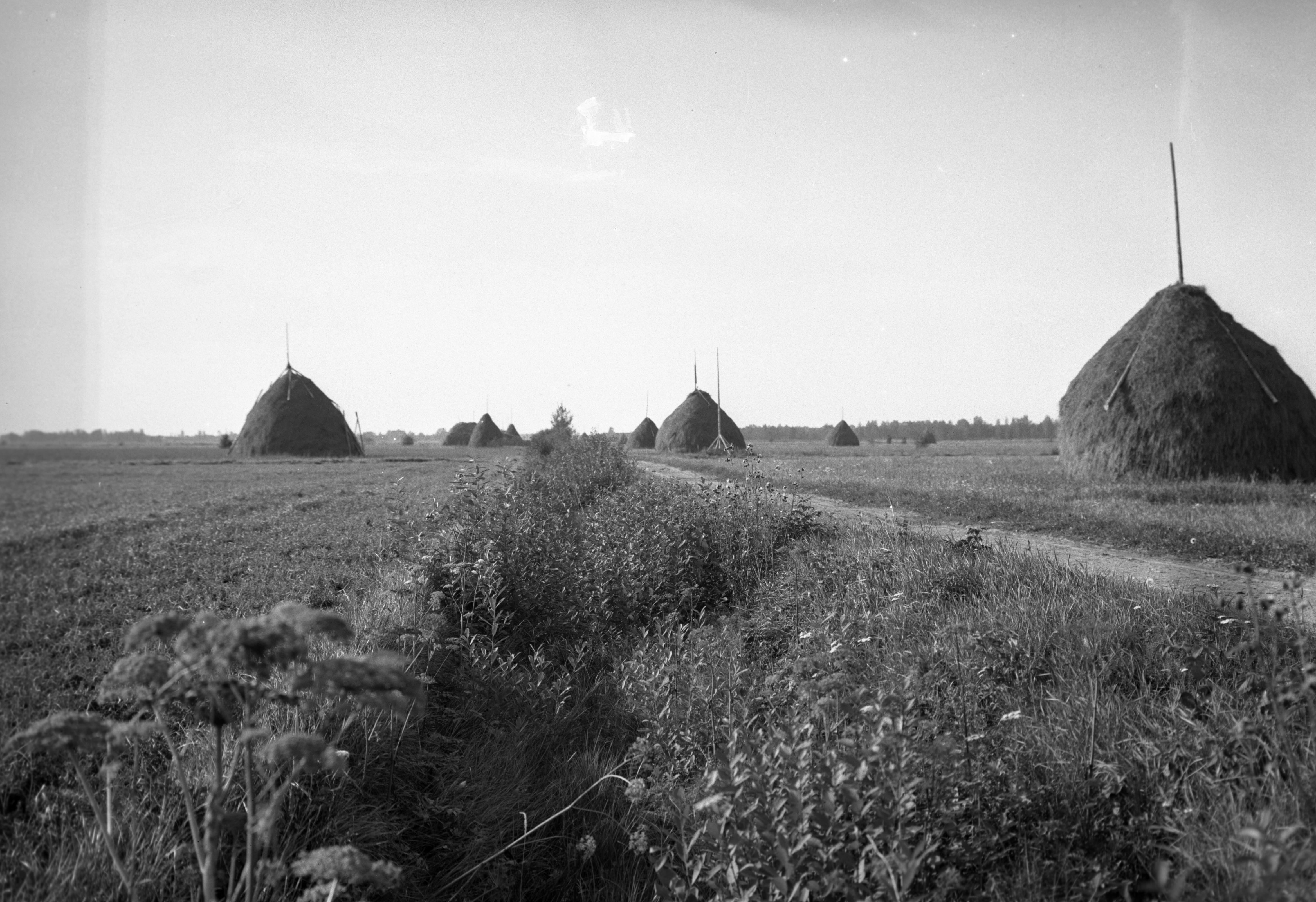 Mårten Sjöbeck, Odensbacken, terrängen öster om
