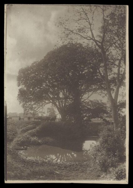 Gale, Lt. Col. Joseph, Rural Life