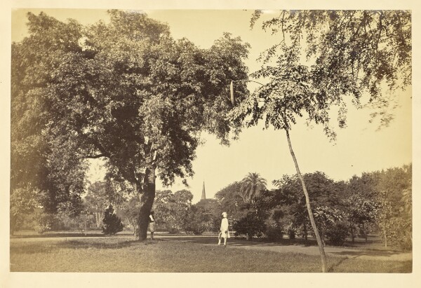 Unknown, [Wingfield Park, with Church Spire in the Background, Lucknow]