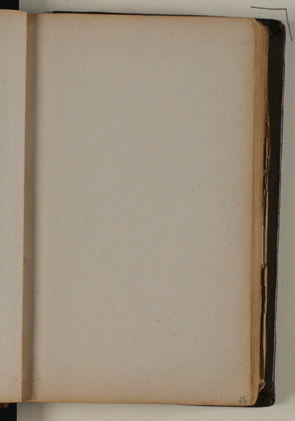 Niels Larsen Stevns, Blank