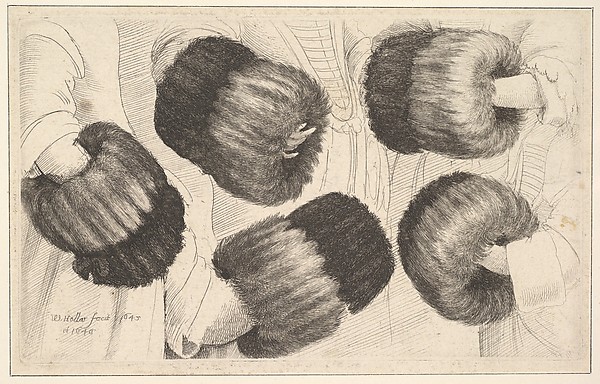 Wenceslaus Hollar, A Muff in Five Views