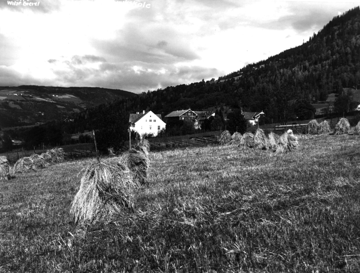 Anders Beer Wilse, Oppland Landbruksskole