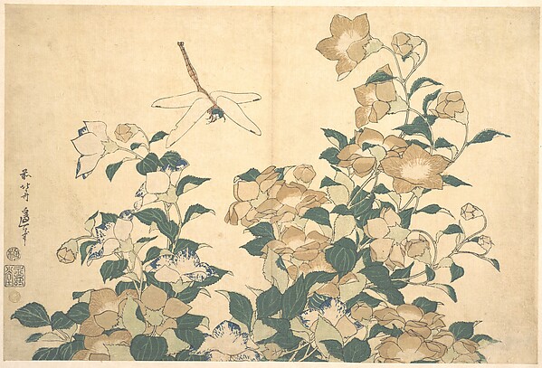 Katsushika Hokusai, Dragonfly and Bellflower