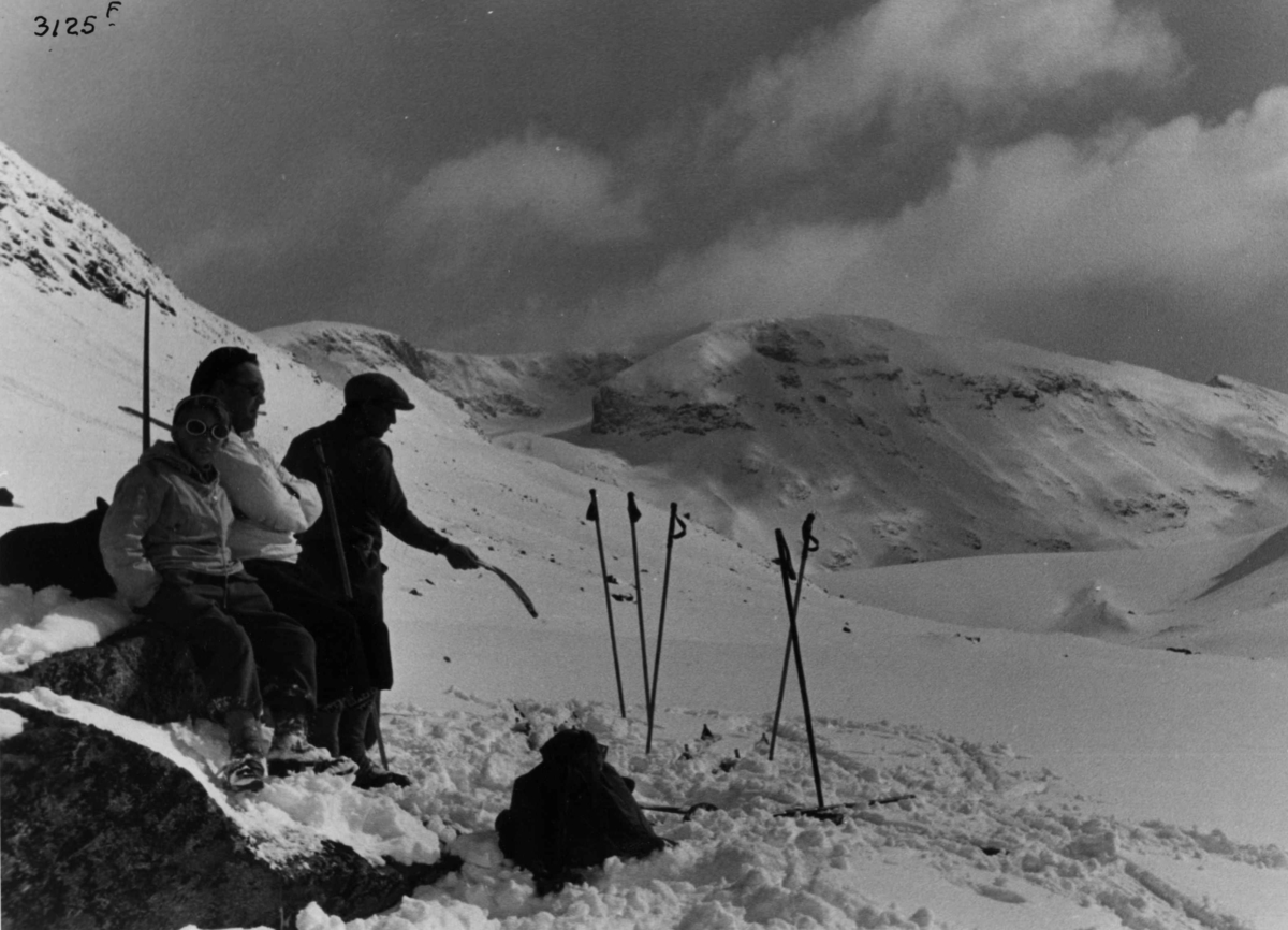 Anders Beer Wilse, Friluftsliv / Sport Heilstugubreen Ski Jotunheimen Sno