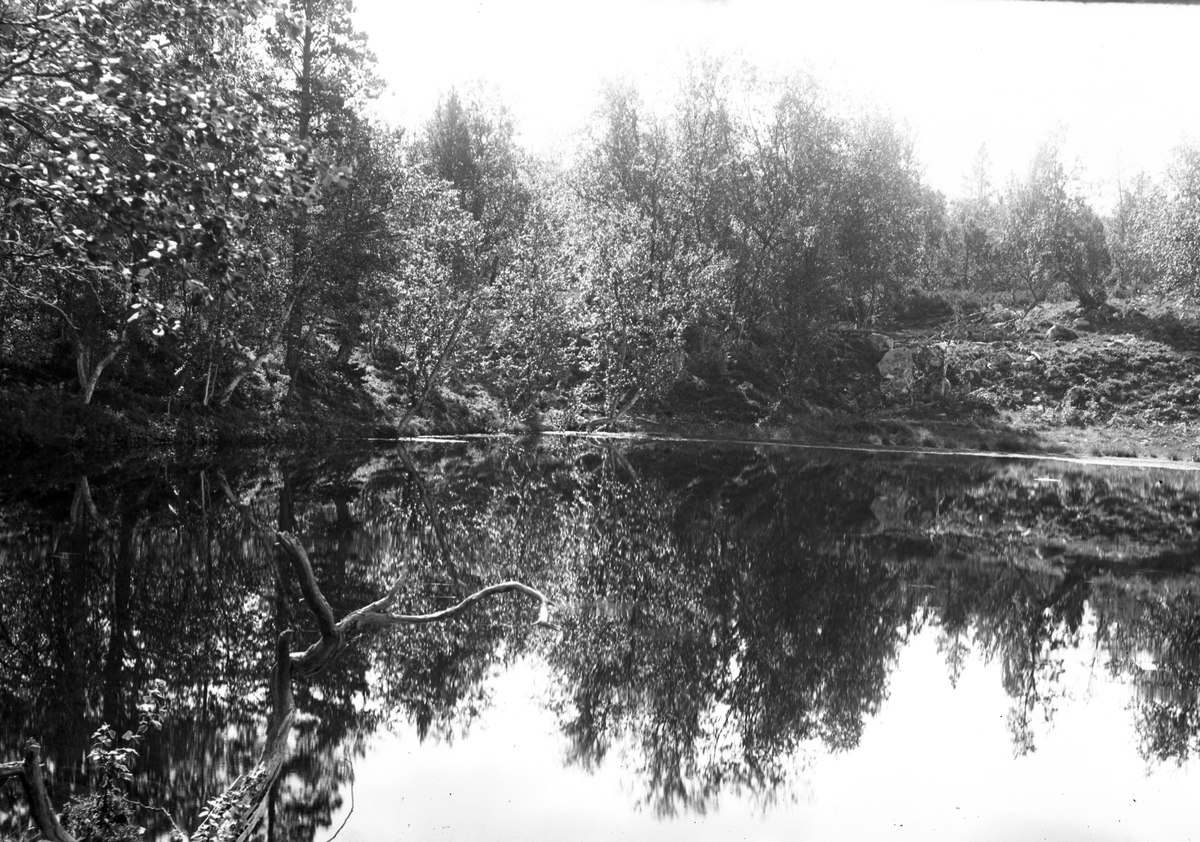 Anders O. Sørhuus, Naturbilde, stille vann