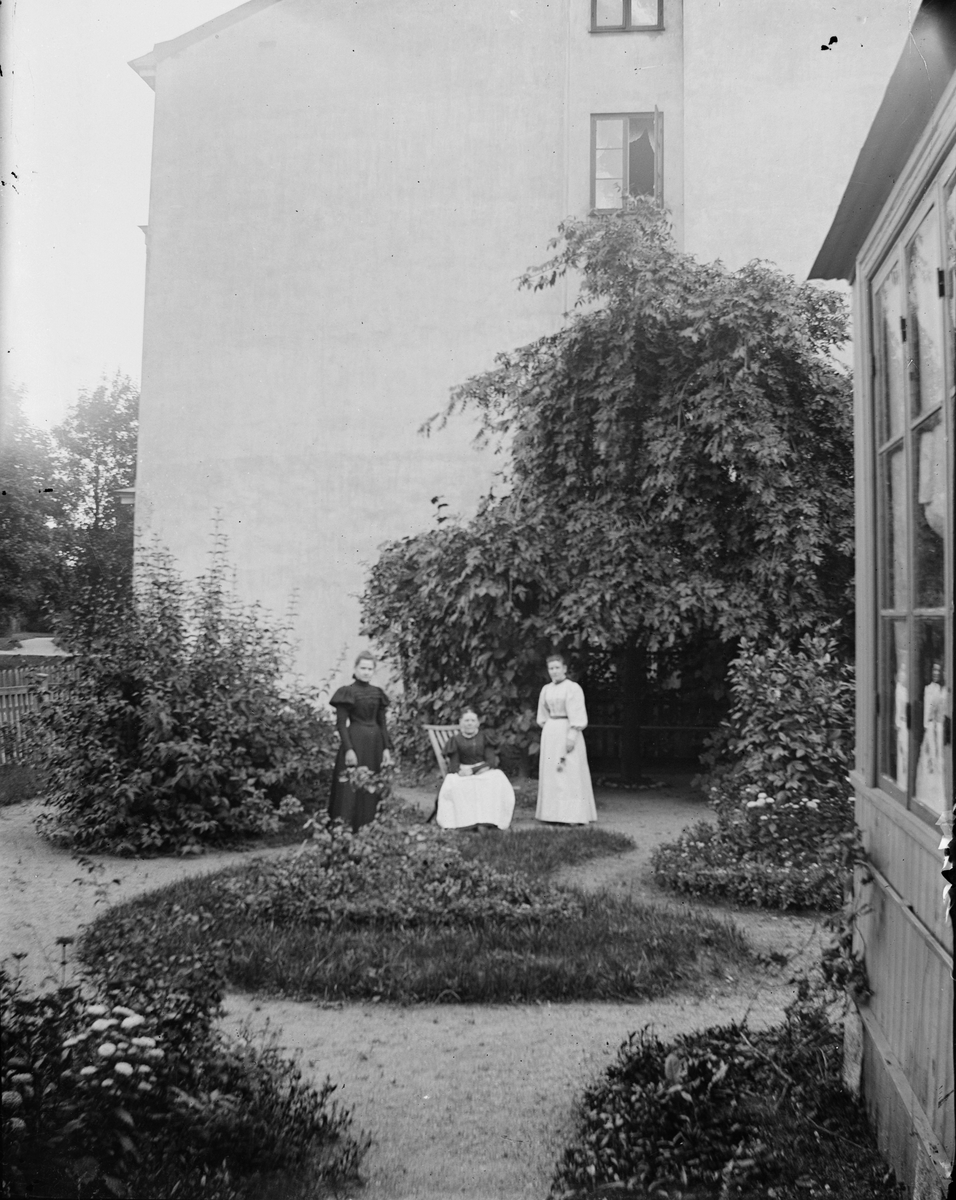 Henri Osti's Fotografiateliér, Kvinnor i trädgården, Bredgränd 11, kvarteret Svava, Uppsala före 1914