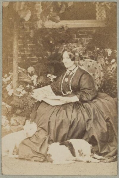 Unknown, Carte-de-visite photographs (480). Four photographs  are dry-mounted to each sheet (120).