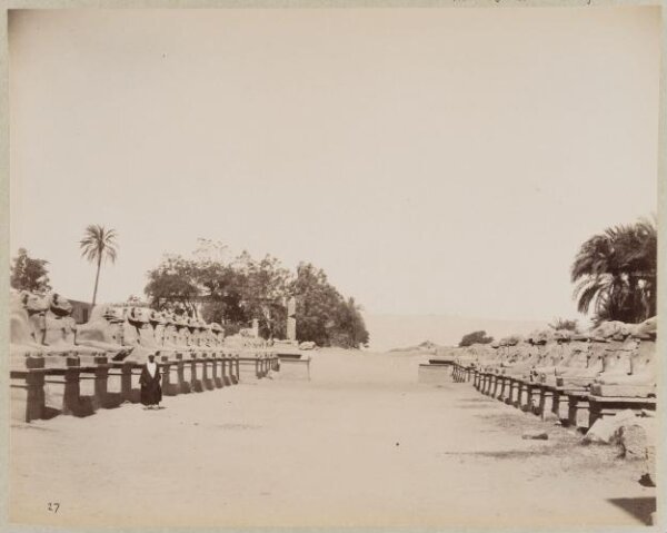 Unknown, Photograph