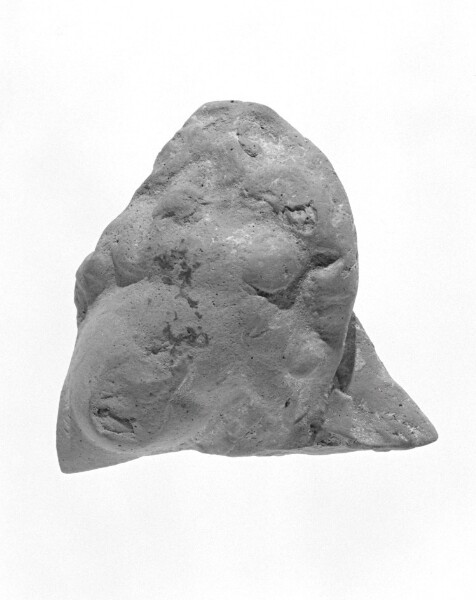 Unknown, Tarantine Head Fragment