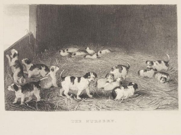 Unknown, The Nursery