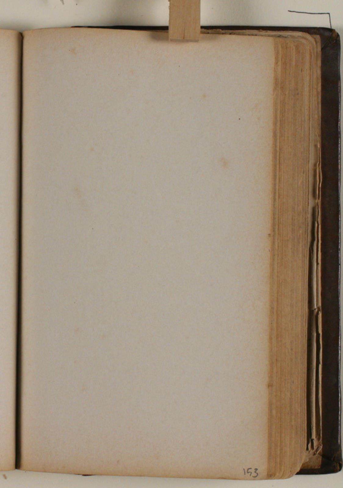 Niels Larsen Stevns, Blank