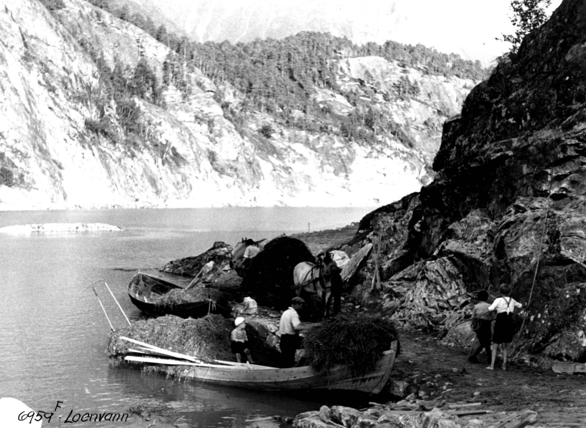 Anders Beer Wilse, Høytransport