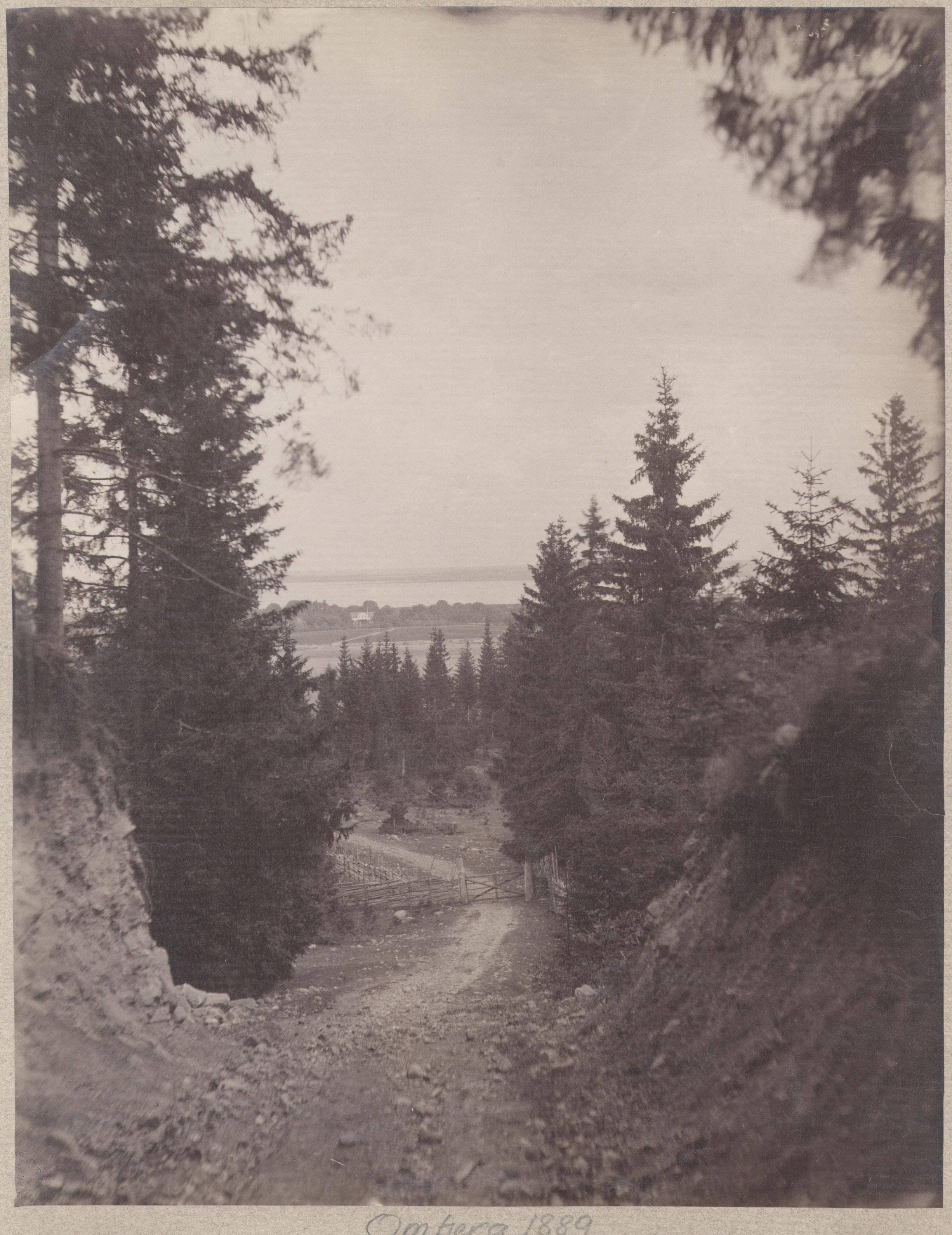 Carl Curman, Omberg